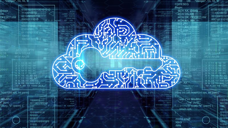 分类算法性能对比实验：揭秘高效决策背后的技术奥秘
